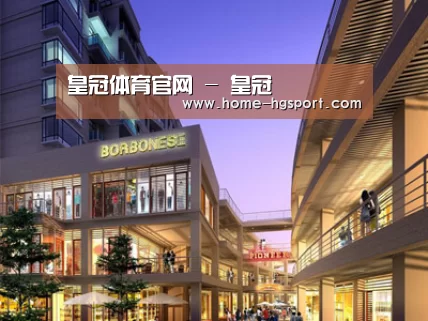 案例展示一(图1) 案例展示一(图1)