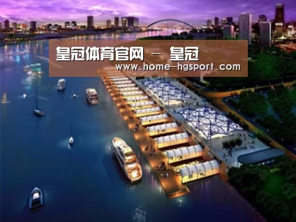 案例展示八