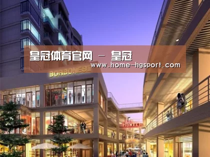 案例展示一