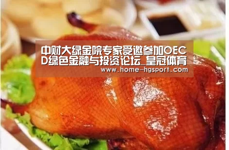 中财大绿金院专家受邀参加OECD绿色金融与投资论坛_皇冠体育下载